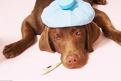 2021年售出的VR头显 近80%是Quest 2